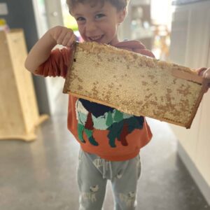 Raw Artisan Seasonal Honeycomb 16 ounces