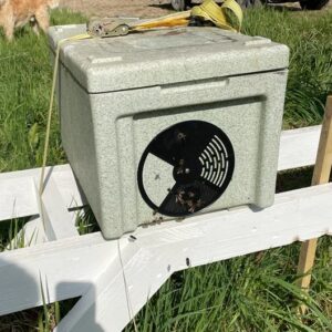 Nucleus Hive